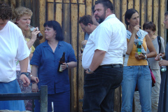DSC04998
